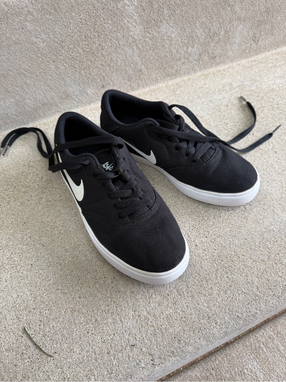 Nike Low Profile Skate Shoe